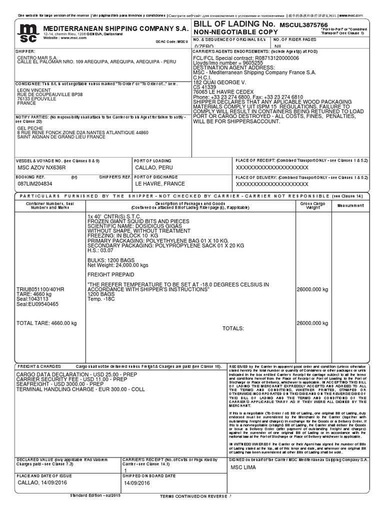 Ejemplo de Bill of Lading Bill Of Lading Cargo