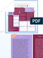 Homeostasis Project Thermoregulation Prezi