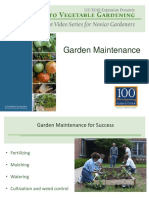 General Garden Maintenance