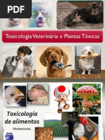 Aula 5 Toxicologia Dos Alimentos Em Animais de Produção