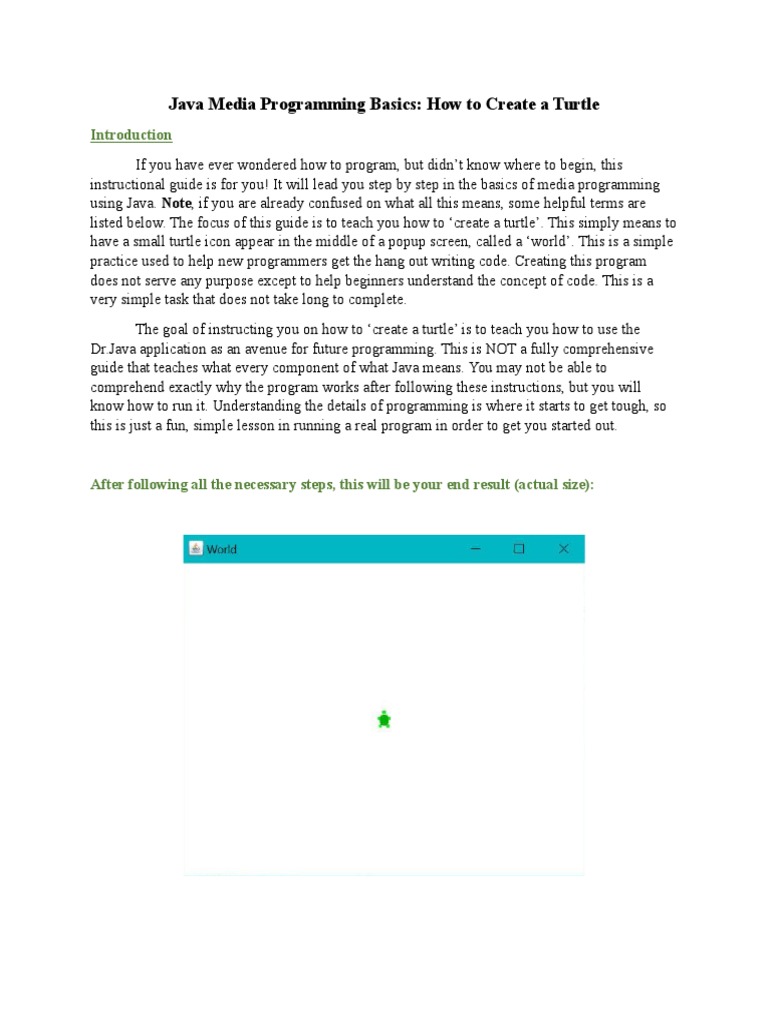 Java Media Programming Basics: How To Create A Turtle | PDF | Web ...