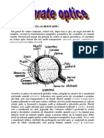 referat fanatomie