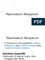 Plasmodium Falciparum & Ovale