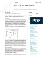 Cirugía Vascular Actualizada