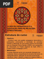 Curso Etnico/Racial
