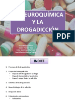 NEUROQUÍMICA DE LA DROGADICCIÓN (DEF).pdf