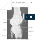 Tratado de Anatomia Humana Quiroz Tomo I - 183