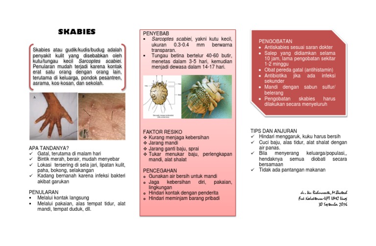 leaflet scabies.pdf