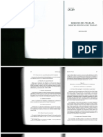 DERECHO DEL TRABAJO_Derecho Individual Del Trabajo