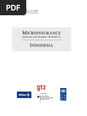 Microinsurance Indonesia Insurance Millennium Development Goals