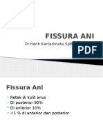 Fissura Ani