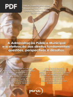 A Administração Pública Municipal e a efetivação dos direitos fundamentais
