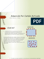 Adsorción Por Carbón Activado