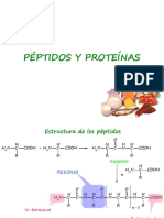 Aa-Peptidos-Proteinas VL 2013 Clase 2
