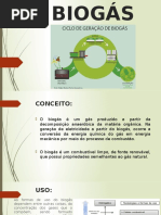 BIOGÁS