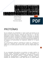 Proteínas y Aminoácidos