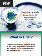 KDIGO 2024 CKD Guideline Executive Summary | PDF | Chronic Kidney ...