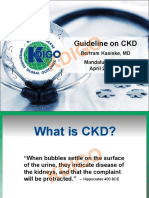 Guideline on Chronic Kidney Disease Staging, Evaluation and Prognosis