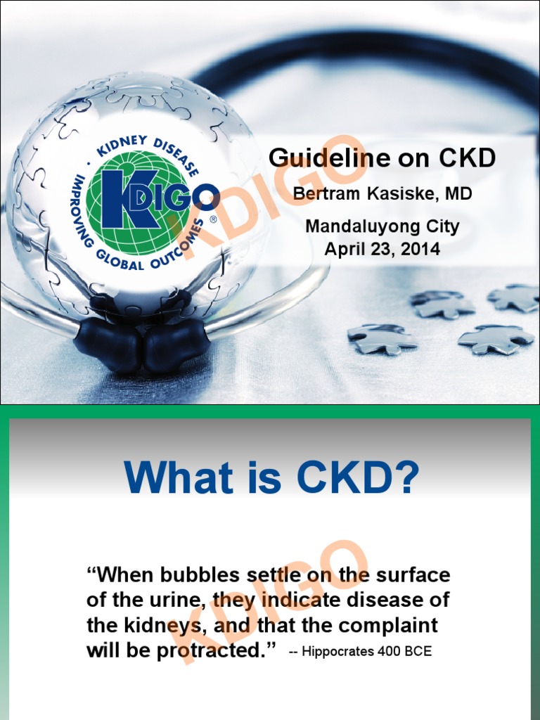 KDIGO CKD Guideline Manila_Kasiske | Chronic Kidney Disease | Renal ...