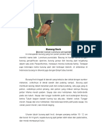 Burung Finch