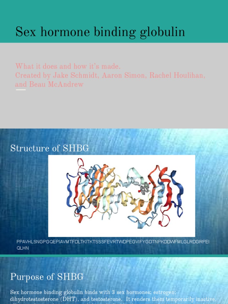SHBG | PDF | Ribosome | Genetic Code