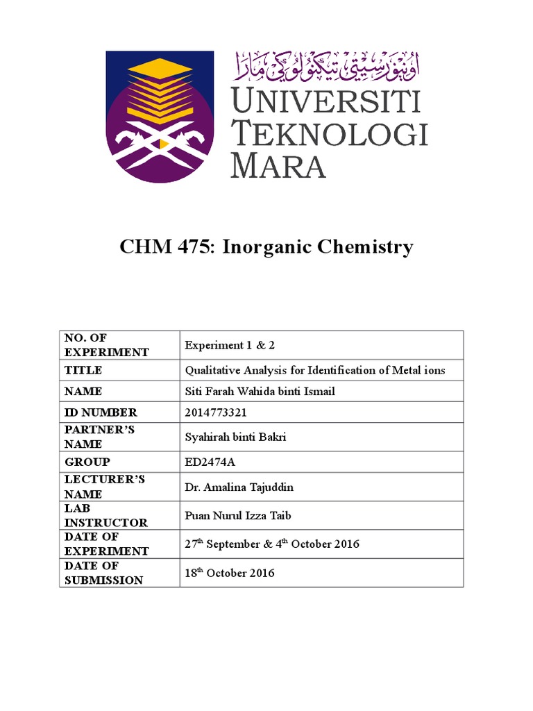 Programming lab report example image