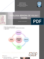 Patologia Benigna de Vulva y Vagina 