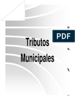 TRIBUTACION MUNICIPAL.pdf