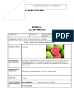 Ficha Tecnica Bocadillo de Guayaba 1200433