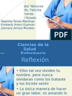 Profesion Enfermeria Seminario