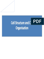 cell structure.pdf