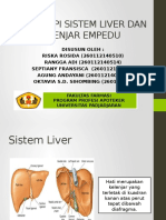 Kelompok 8 - Sistem Liver Dan Kelenjar Empedu