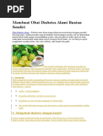 Download Membuat Obat Diabetes Alami Buatan Sendiri by senimankayaraya SN334059481 doc pdf