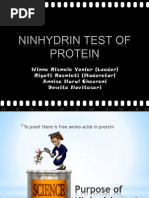 Ninhydrid Test of Protein