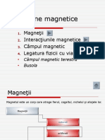 Fenomene Magnetice