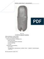 D-Wady Powierzchni 2 PDF