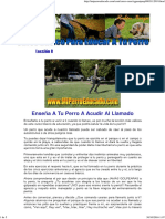 Curso Basico de Adiestramiento Canino 