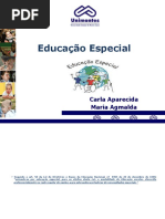 Educação Especial