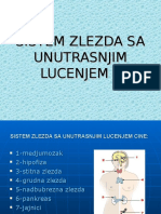 Sistem Zlezda Sa Unutrasnjim Lucenjem