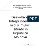 dezvoltarea intreprinderilor mari si mijlocii situate in RM