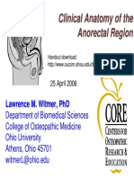 Witmer-2006-04-25-Anorectal.pdf