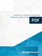 elaboracion y evaluacion de proyectos.pdf