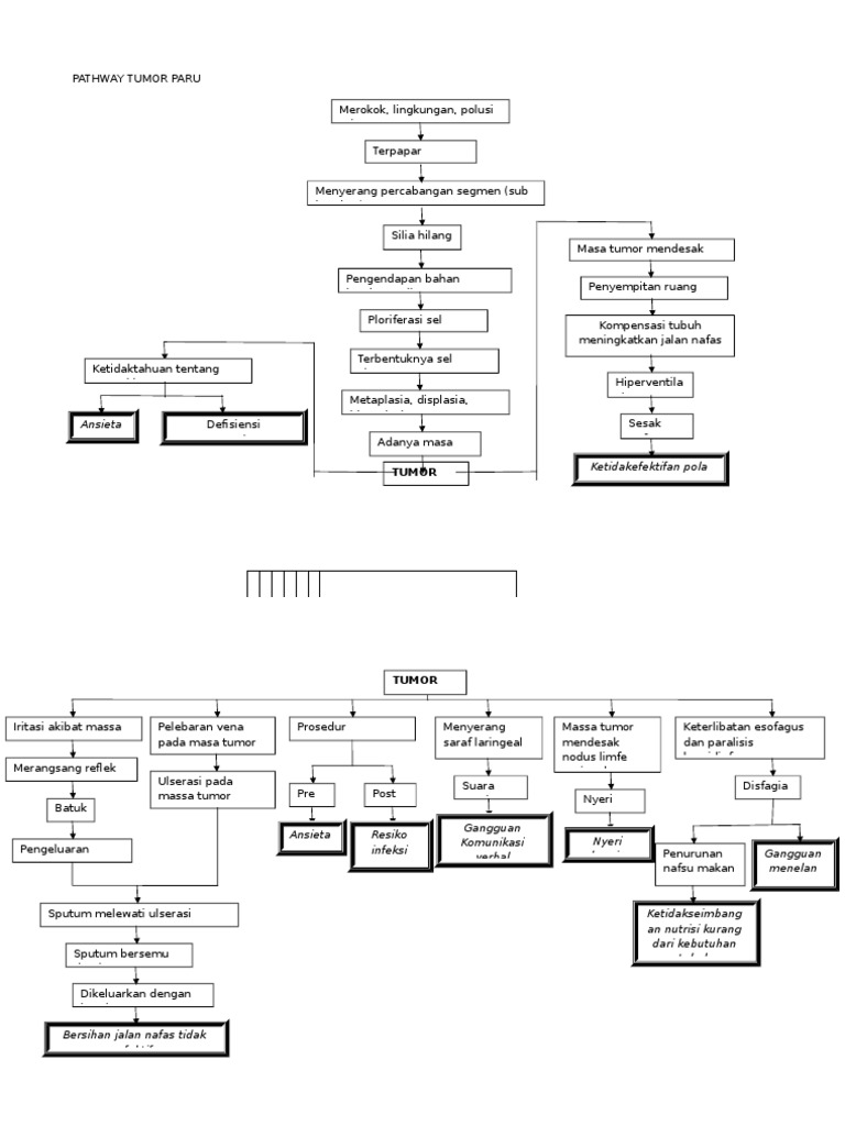 Pathway Tumor Paru