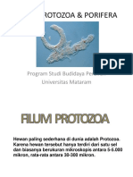 Pertemuan 8. Protozoa & Porifera 2 PDF
