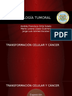 Inmunología Tumoral
