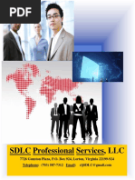 SDLC IT Staffing Services.a1.1213.2016.8pm