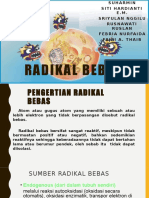 Radikal Bebas