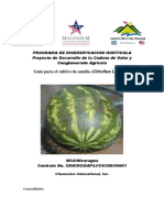 Nicaragua plagas.pdf