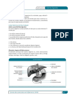 sistema digestivo.pdf