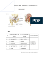 Tugas Harian Biomekanik Aktivitas Dan Kinesiologi " Sendi HIP "